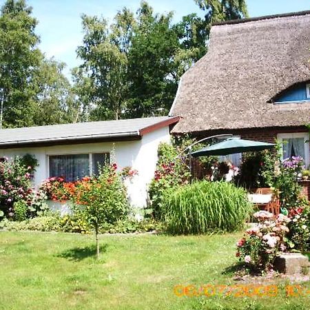 Ferienwohnung "Kleine Deichperle" Prerow Dış mekan fotoğraf